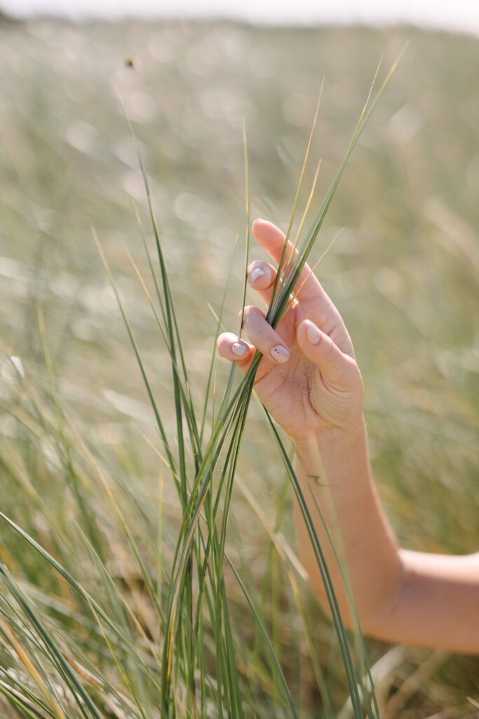 ajurweda oczyszczanie, naturoterapia, detoksykacja ciała, zdrowie naturalne, ajurwedyjska dieta