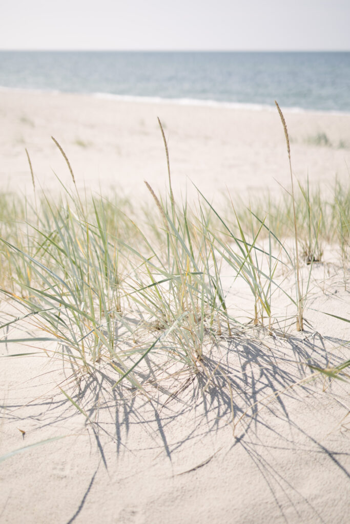 ajurweda oczyszczanie, naturoterapia, detoksykacja ciała, zdrowie naturalne, ajurwedyjska dieta