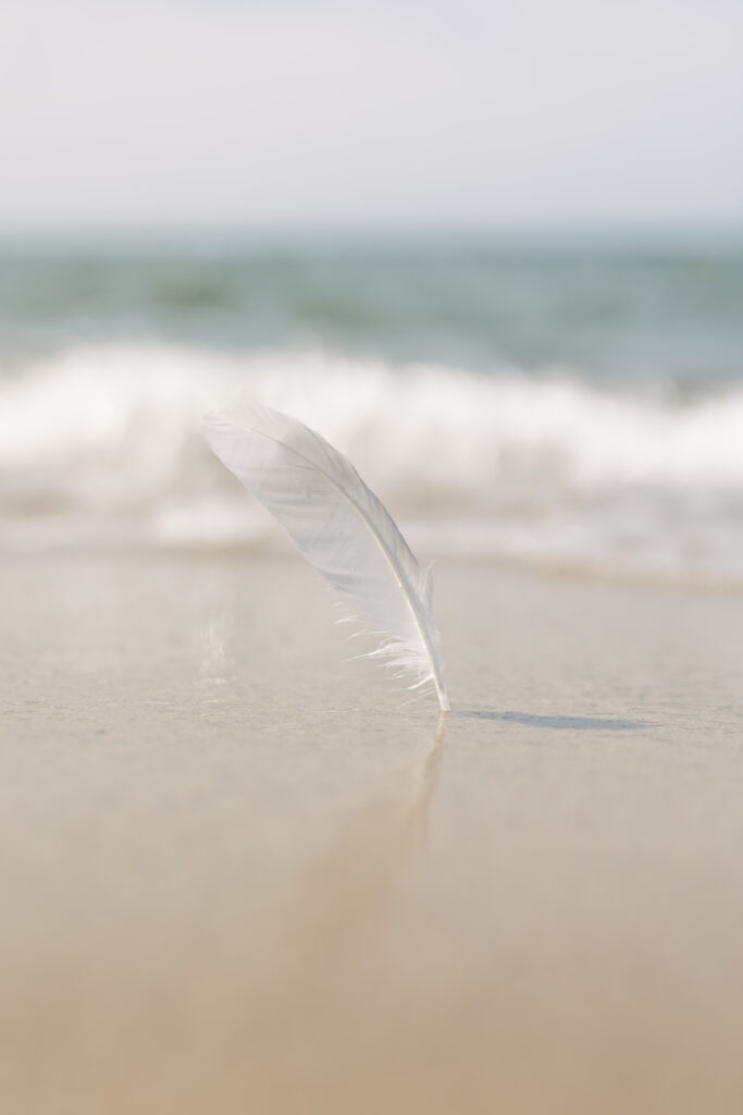 ajurweda oczyszczanie, naturoterapia, detoksykacja ciała, zdrowie naturalne, ajurwedyjska dieta