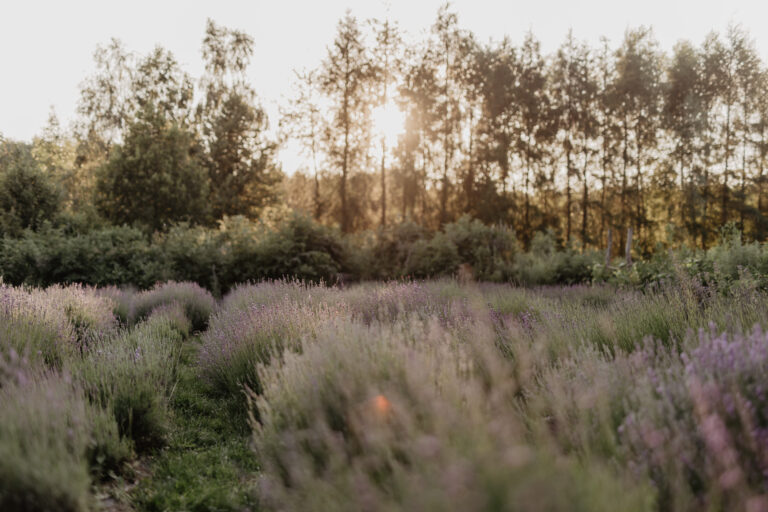 Ajurweda na lato – równowaga w świecie pełnym ognia