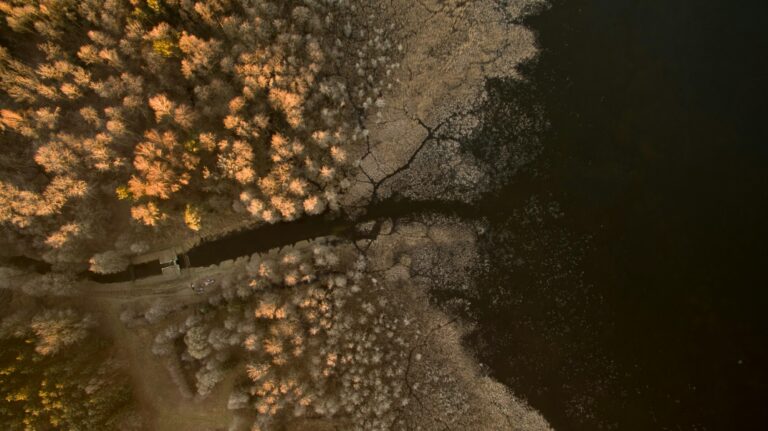 Jesień według Ajurwedy – czas przemian i uziemienia