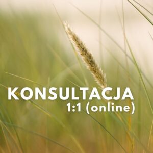 Konsultacja ajurwedyjska – pełne poznanie Twojej konstytucji