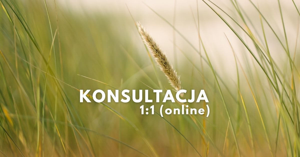 Konsultacja ajurwedyjska – pełne poznanie Twojej konstytucji