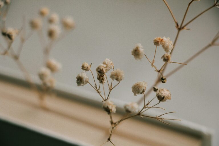 Zima – co osłabia, a co wspiera Twój umysł, ciało i emocje?